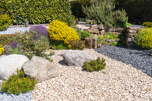 Aperture 9.5, exposure time 1/750 sec., ISO 200, UV filter, lens hood, focal length 34 mm, jura rock, basalt gravel, jura gravel, granite gravel, aubretia,